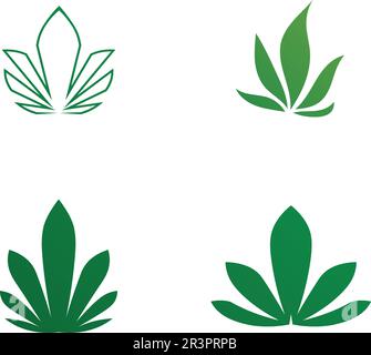 cannabis marijuana vector logo and design Stock Vector