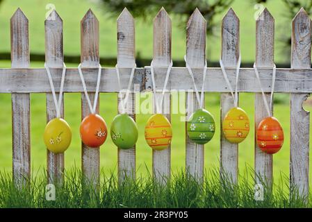 Easter eggs hanging at a garden fence, Germany Stock Photo