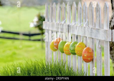 Easter eggs hanging at a garden fence, Germany Stock Photo