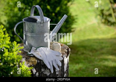 can and gloves on a stub in a garden Stock Photo