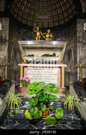 panteon de Santa Catalina Thomas (Valldemossa, 1533 , Palma, 1574), iglesia de Santa Magdalena,fundada en el siglo XIV y reconstruida en 1740, Palma, Mallorca, islas baleares, Spain. Stock Photo