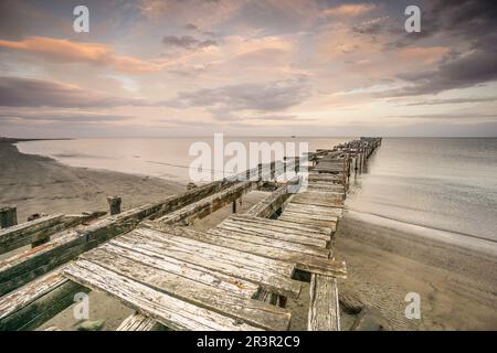 Costanera, Punta Arenas -Sandy Point-, Patagonia, Republic of Chile, South America. Stock Photo