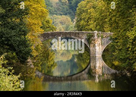 Puente de piedra sobre el rio Bidasoa, Vera de Bidasoa, comunidad foral de Navarra, Spain. Stock Photo