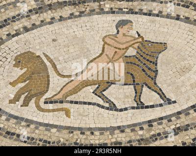 Mosaicos de la casa de los trabajos de Hércules.Ciudad Romana de Volubilis(II d.c.), yacimiento arqueologico.Marruecos. Stock Photo