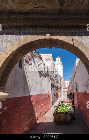 Surroundings of the Ben Youssef Mosque, Essaouira, morocco, africa. Stock Photo