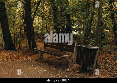 Many beautiful trees, bench and pathway in autumn park Stock Photo