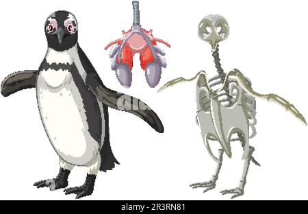Penguin respiratory system cartoon illustration Stock Vector Image