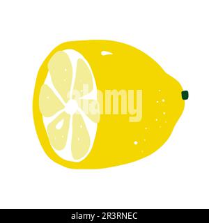 Cartoon yellow half lemon. Hand-drawn citrus isolated on white background. Delicious fruit is a symbol of summer, wholesome nutrition, natural food. I Stock Vector