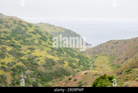 The interior of Catalina Island is well worth an exploratory trip off the coast of southern California. Stock Photo