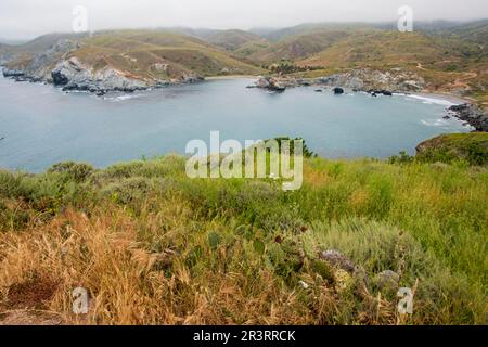 The interior of Catalina Island is well worth an exploratory trip off the coast of southern California. Stock Photo