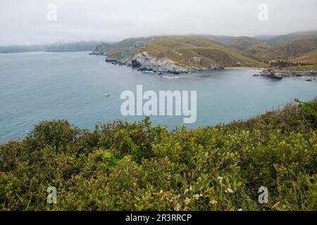 The interior of Catalina Island is well worth an exploratory trip off the coast of southern California. Stock Photo