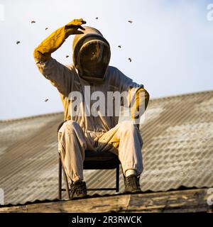Bee Keeper on roof attacked by swarm of bees Stock Photo