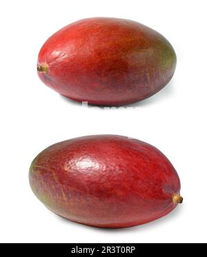 Whole ripe mango on a white isolated background Stock Photo