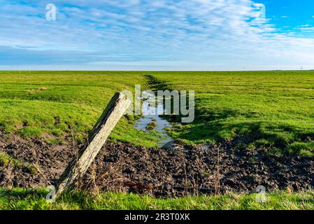 Drainage ditch in the marshland of the East Frisian North Sea coast Stock Photo