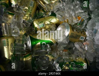 Chang Thai beer cans in ice. Stock Photo