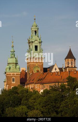 castillo y colina de Wawel, Cracovia , voivodato de Pequeña Polonia,Polonia, eastern europe. Stock Photo