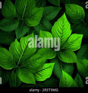 Texture of green leaves, green background pattern - Vector Stock Photo