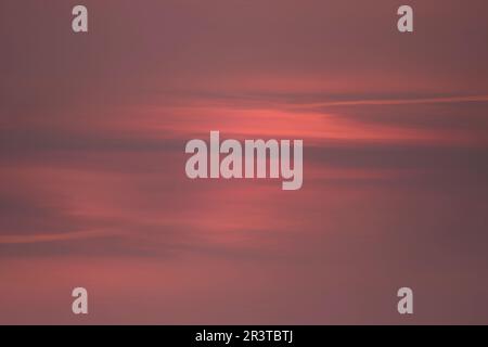 Abstract sunset background, calm tones, template for design. Stock Photo