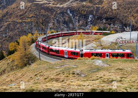 Alp Grum, Switzerland - October 30. 2021 : Red train from Rhaetian Railway is passing the train tracks with tight 180° curve at high Alp Grum. Stock Photo