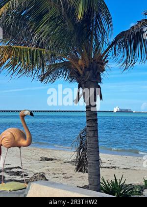 Progreso, Yucatan, Mexico - Nov 23 2022: Port city of the peninsula, a stop for cruise ships docking at its iconic long pier. The Malecon is a promena Stock Photo