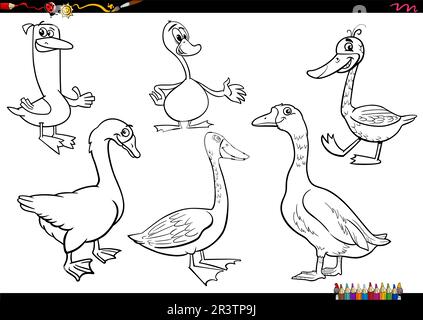 Black and white cartoon illustration of geese farm animal characters set coloring page Stock Vector