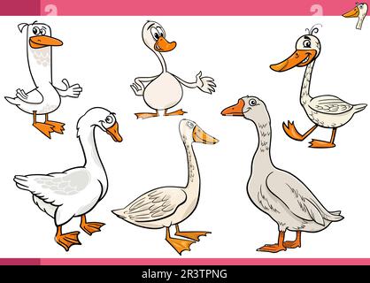 Cartoon illustration of geese farm birds animal characters set Stock Vector