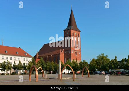 Market Square, St. Mary's Church, Pasewalk, Mecklenburg-Western Pomerania, Germany Stock Photo