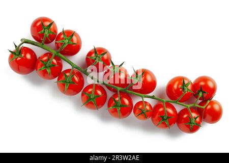 Cherry tomato branch close-up isolated on white background Stock Photo