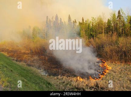 Natural wildfire caused by lightning during a dry season Stock Photo ...