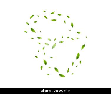 Realistic green tea leaves in motion Stock Vector
