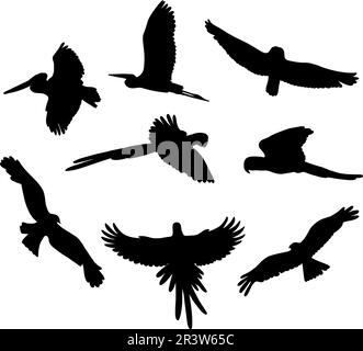 Collection silhouettes flying birds. Beautiful tropical feathered parrots, pelican, macaw, raven, owl. Vector illustration. Isolated elements on white Stock Vector