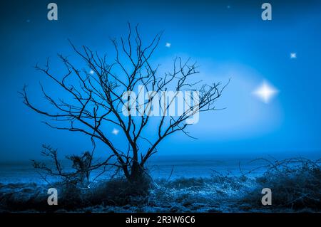 UFO's appear over a foggy field. Stock Photo