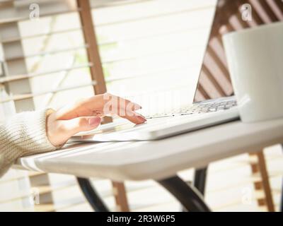 Hands of an Asian woman using a computer at home Stock Photo