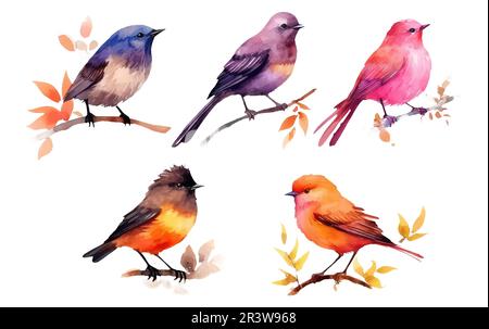 watercolor set vector illustraton of bird on a branch isolated on white background Stock Vector