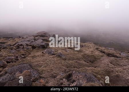 Iceland thick moss covered lava field in mist. Foggy weather in Icelandic lava field covered with thick moss. Saefellsnes peninsula in western Iceland Stock Photo