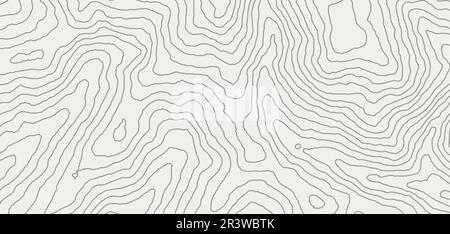 Topographic map pattern contour background geography landscape. 3d land structure map grid mountain earth abstract topography. Stock Vector