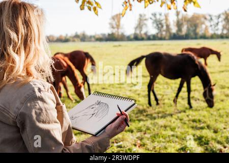 Woman illustrator drawing sketch of horse in plein air. Inspiration for artist from animal farm Stock Photo