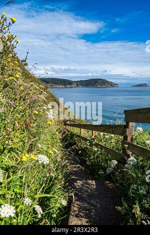 Punta Socastro also known as Fucino do Porco in O Vicedo, Costal Path at Costa do Morte at Viveiro, Galicia, Spain in Europe Stock Photo