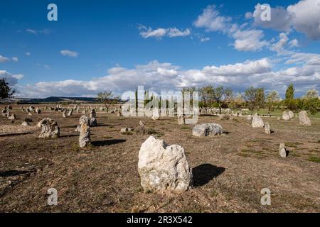 necropolis of 'Las Ruedas', ancient Vaccea city of Pintia, Padilla de Duero, Valladolid province, Spain. Stock Photo