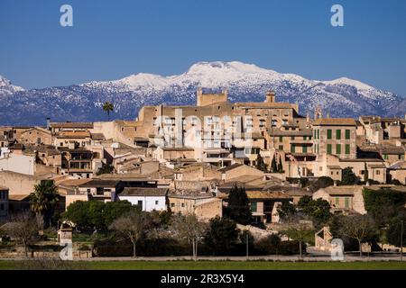 The Palace of the Kings of Majorca is a rebuilt during the reign of King Jaime II of Mallorca, in 1309, Sineu, and Tramuntana mountains with snow Mancomunidad del Pla, Mallorca, balearic islands, spain, europe. Stock Photo