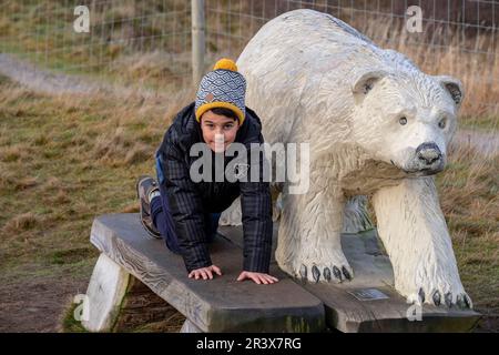 Highland Wildlife Park, kincraig, Parque Nacional Cairngorms, Escocia, Reino Unido. Stock Photo