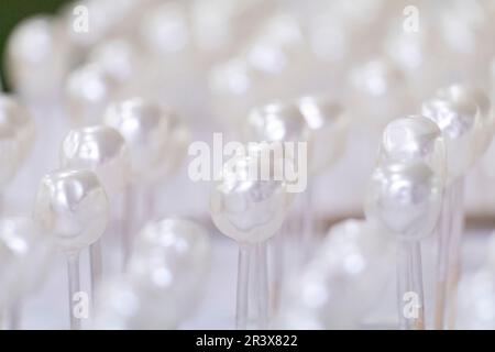 perlas secandose, fabrica de Perlas Orquidea, Montuiri, Mallorca, Balearic islands, spain. Stock Photo