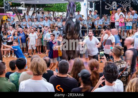 Jaleo, danza tradicional con caballos, originaria del siglo XIV, fiestas de Sant Lluís, Menorca, balearic islands, Spain. Stock Photo