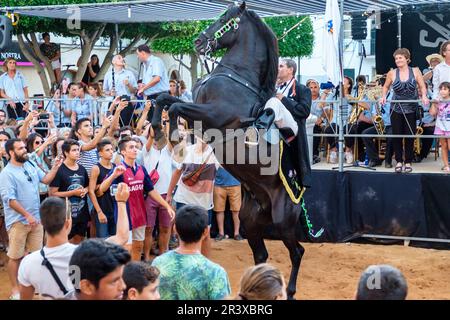 Jaleo, danza tradicional con caballos, originaria del siglo XIV, fiestas de Sant Lluís, Menorca, balearic islands, Spain. Stock Photo