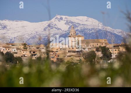 Montuiri and Tramuntana mountains with snow, Pla de Mallorca, Mallorca, balearic islands, spain, europe. Stock Photo