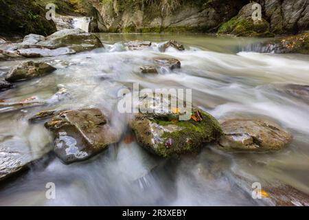 cascada de El Cubo, rio Urbeltza, selva de Irati,comunidad foral de Navarra, Spain. Stock Photo