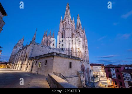 Burgos cathedral, Santa Iglesia Catedral Basílica Metropolitana de Santa María, Burgos province, Spain. Stock Photo