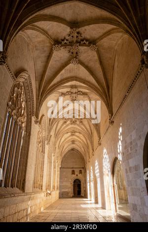 claustro, Catedral de Santa María de la Asunción, El Burgo de Osma, Soria, comunidad autónoma de Castilla y León, Spain, Europe. Stock Photo