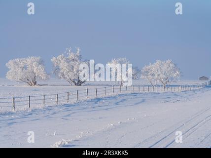 Prairie Winter Scenes Stock Photo