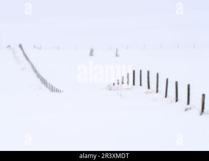 Prairie Winter Scenes Stock Photo